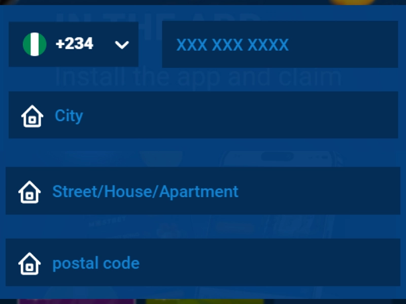 Screenshot of the contact information form with fields for phone number (+234), address, city, and postal code.