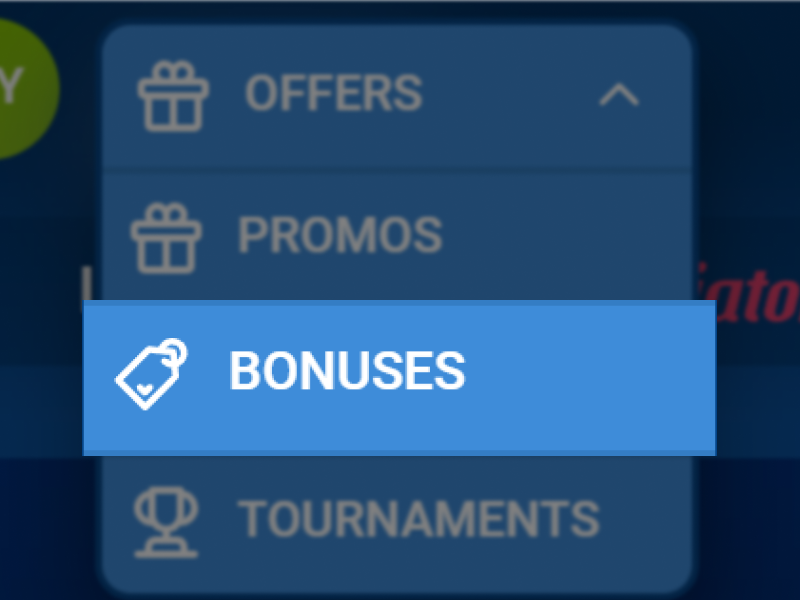 Screenshot of the user dashboard showing navigation to the “Bonuses” section.